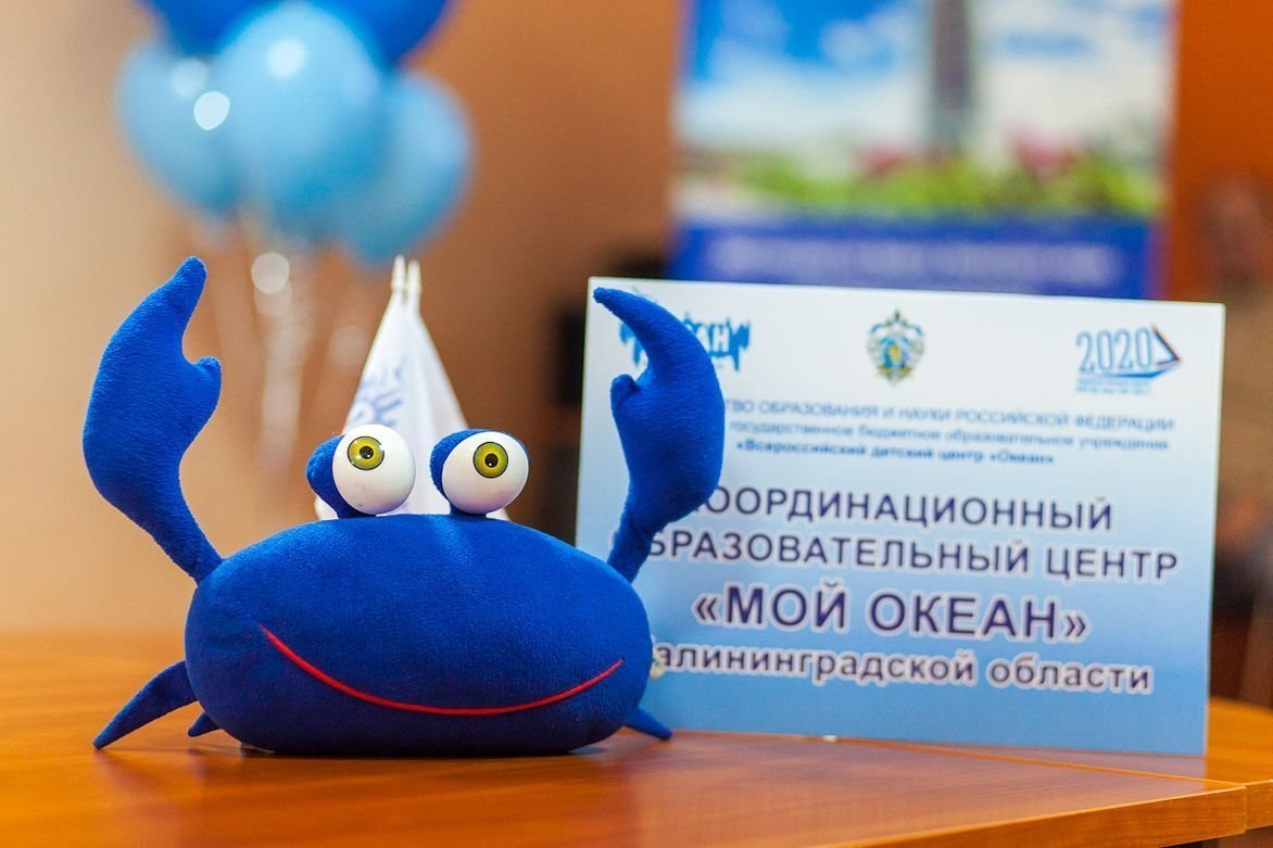 Координационному образовательному центру «Мой Океан» в Калининграде 2 года!