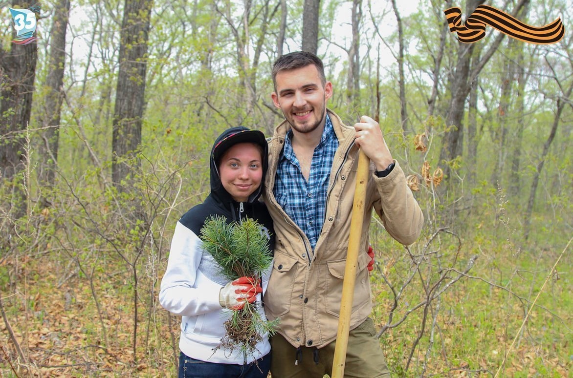 Сотрудники ВДЦ «Океан» посадили 20 тысяч саженцев корейского кедра