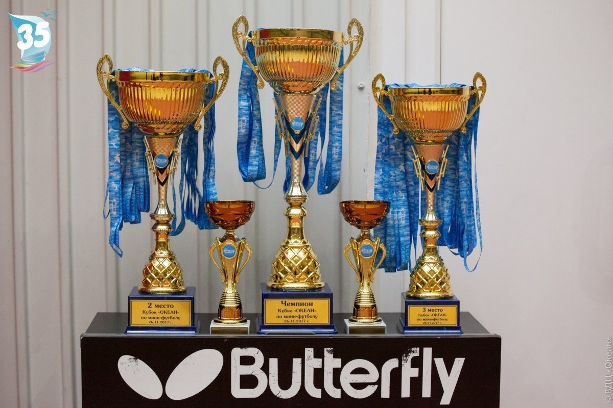Месяц мини-футбола в детском центре: в физкультурно-оздоровительном комплексе пройдёт второй кубок «Океана»