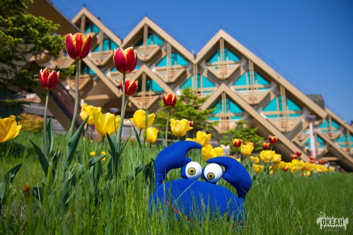 Дружина-флотилия «Парус» готовится к приезду детей