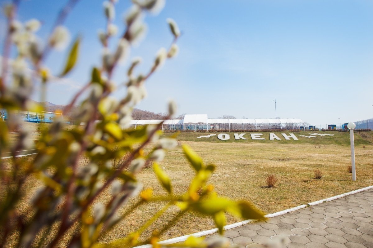 ВДЦ «Океан» примет детей из пострадавших от природных пожаров населённых пунктов Забайкальского края 