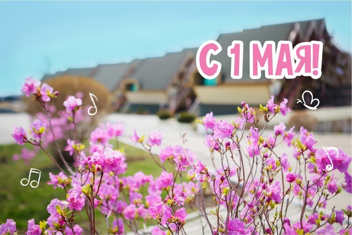 С днём весны и труда!