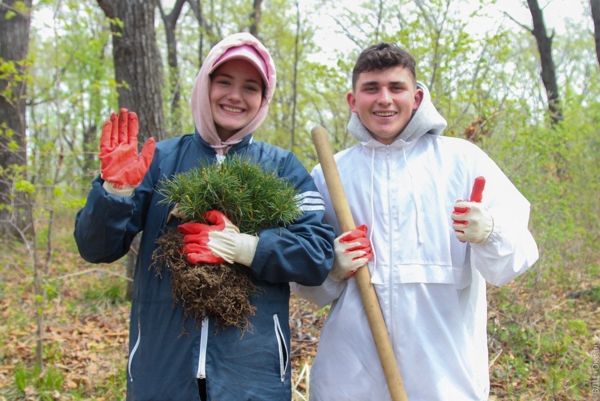 «Океан» ждёт юных лесничих!