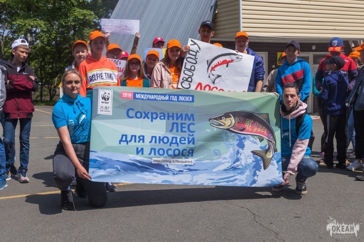 Дружина «Тигрёнок»: экологическая акция в защиту лосося