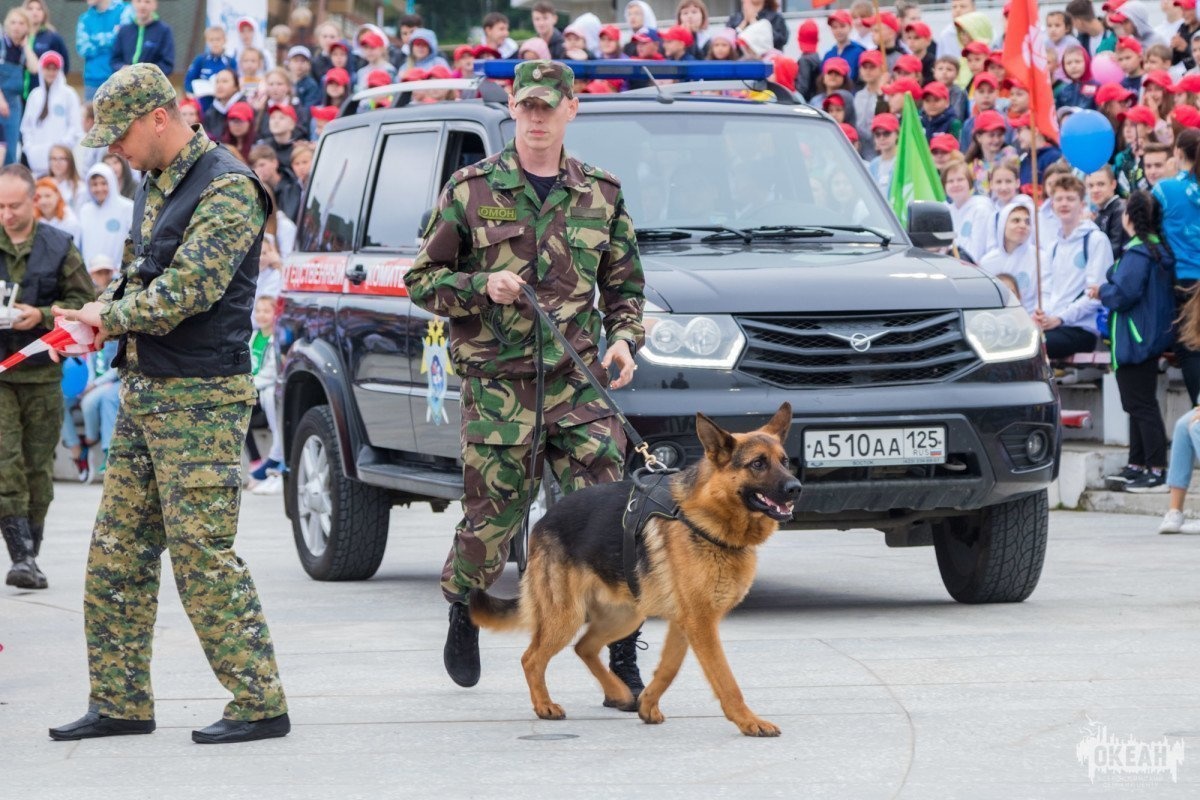 Видеорепортаж: программа «Юный следователь»