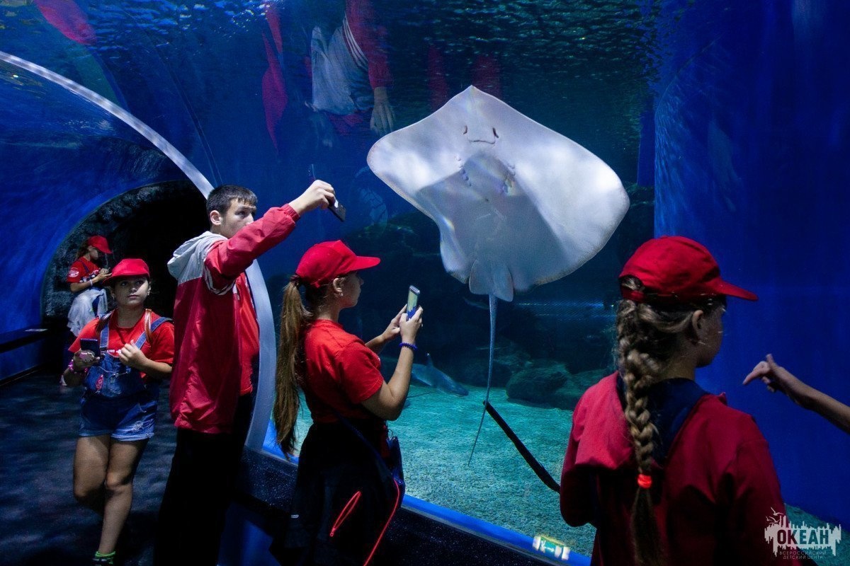 Школьники из Иркутской области посетили Приморский океанариум