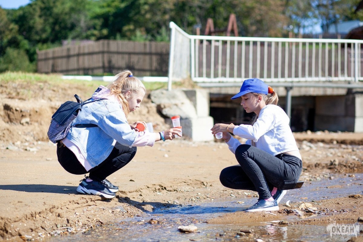 Участники форума «Живи, Земля!» исследуют экосистему бухты Емар