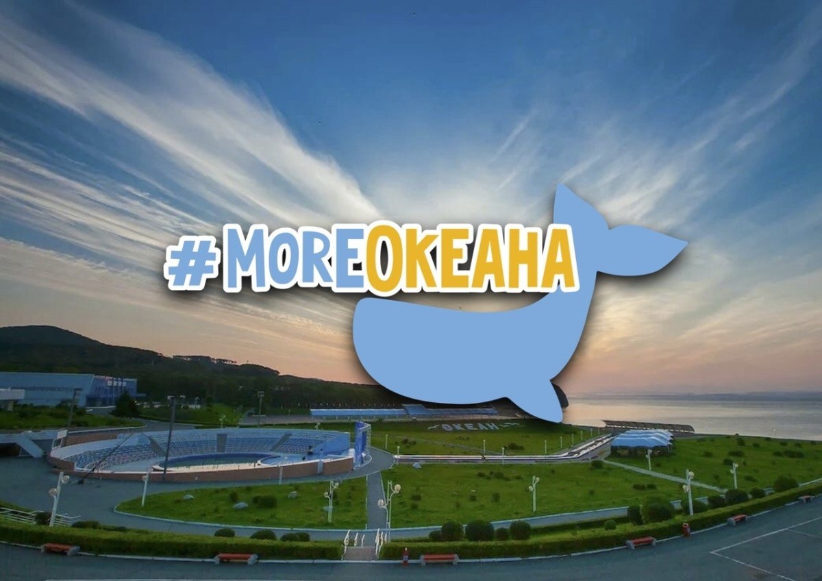 Открыта регистрация на первую Всероссийскую онлайн-смену «#MoreОкеана»