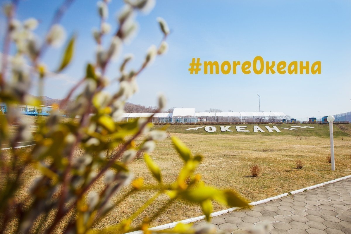 #moreОкеана: завершился третий день смены