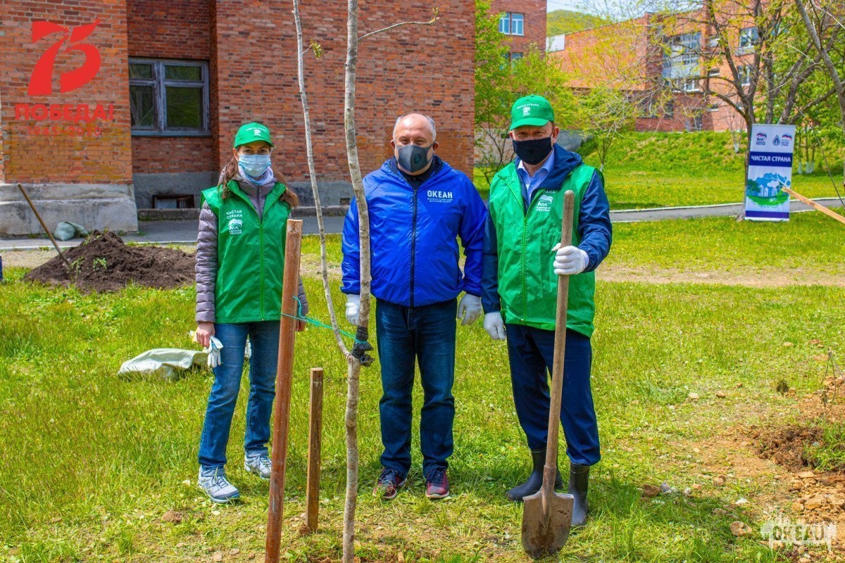 Рябиновая аллея высажена сотрудниками ВДЦ «Океан» в рамках акции «Сад памяти»