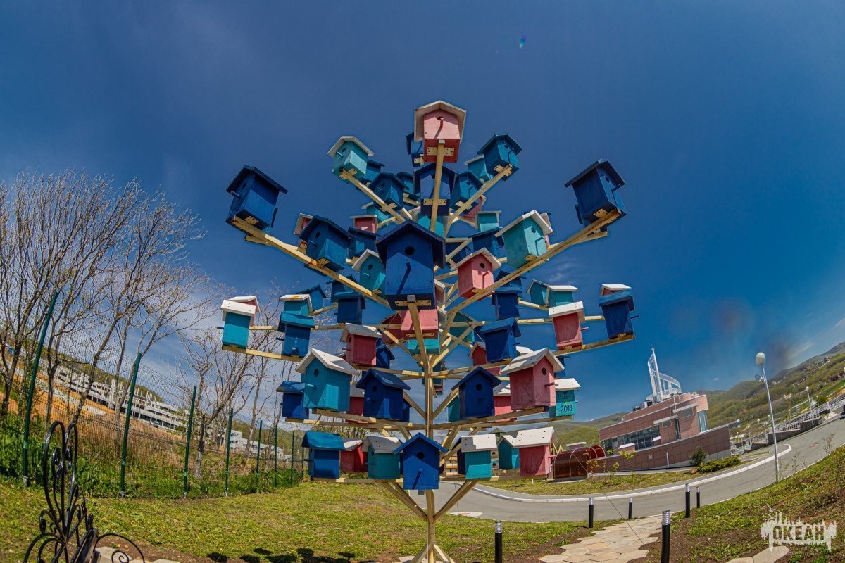 Океанские новости: на старте в лето