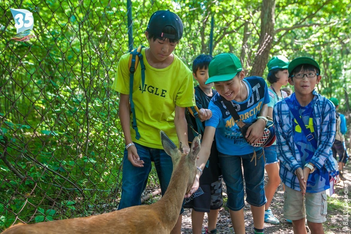 «Океан» приглашает на экскурсии в Приморский Сафари-парк!