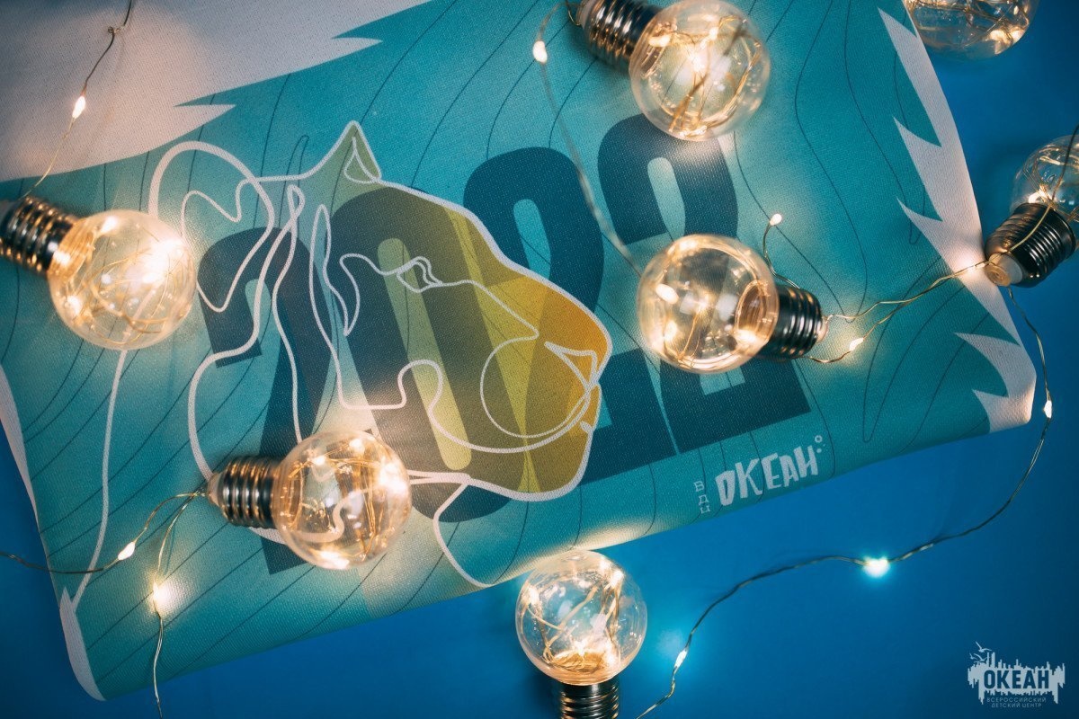 АИС «Путёвка»: как попасть в «Океан» в 2022 году?