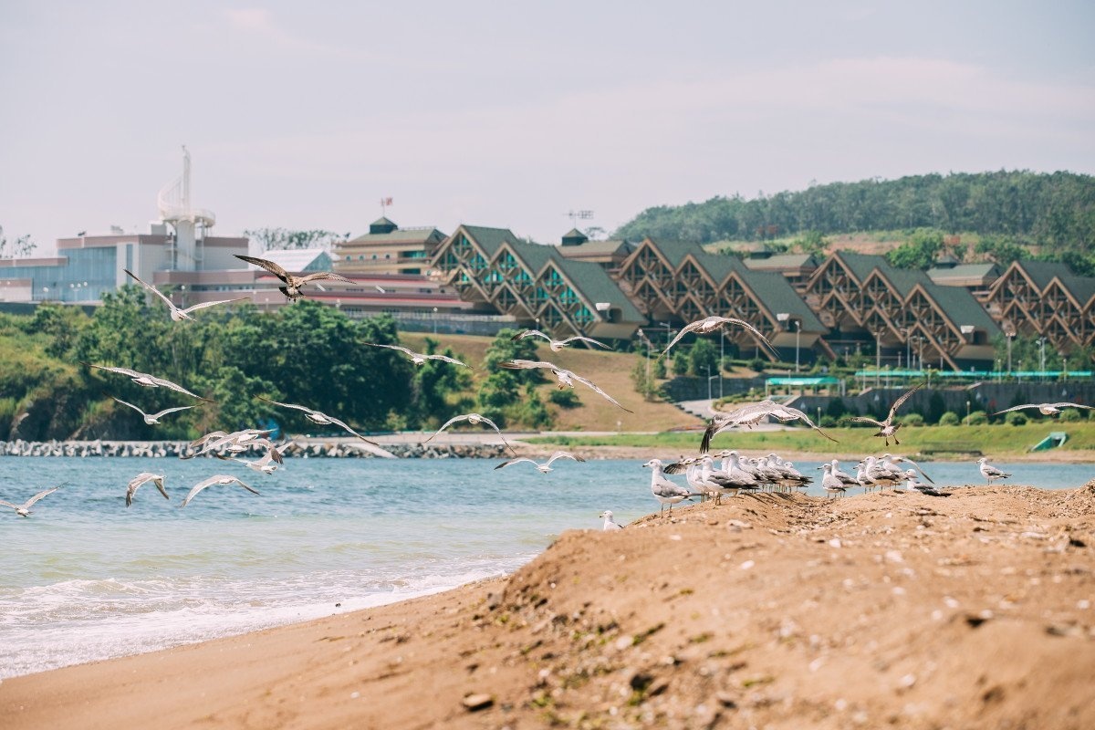 ВДЦ «Океан» проводит программу повышения квалификации для 230 педагогов Приморья