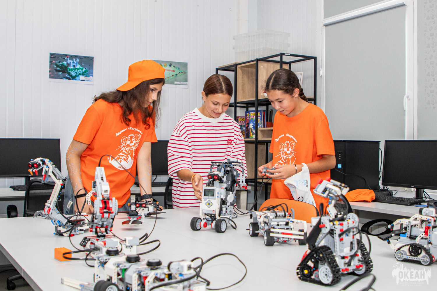 «Основы робототехники» (техническая направленность)