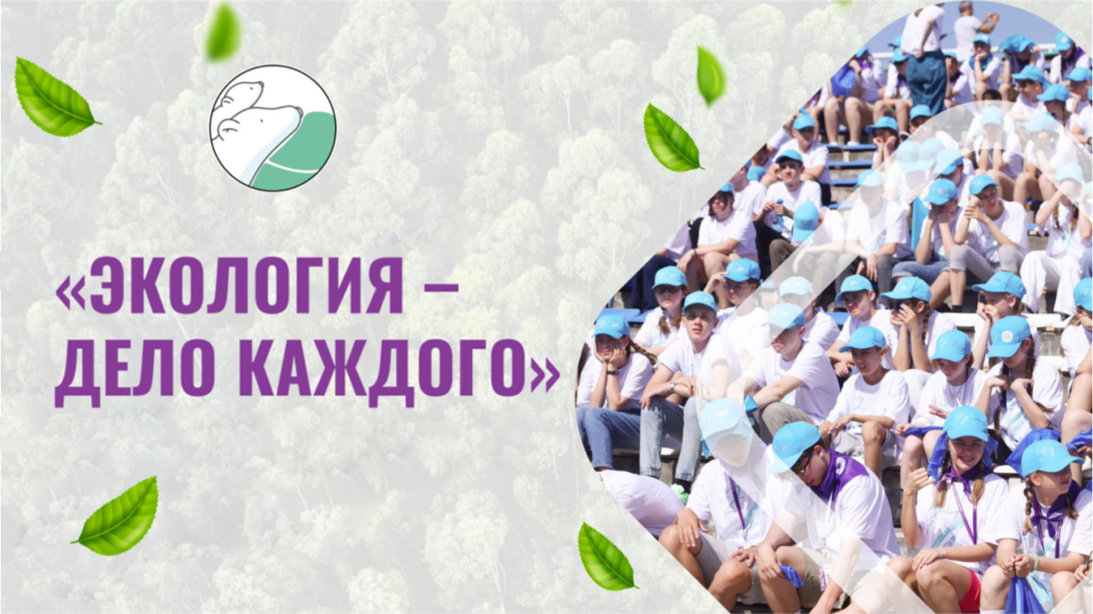 ВДЦ «Океан» и МЭОО «Независимый центр экологической экспертизы» проводят конкурсный отбор на экологическую программу!