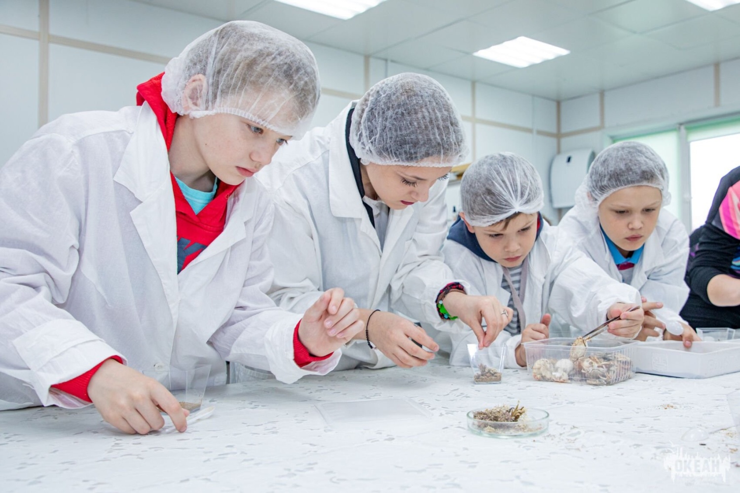 «Лаборатория "Биомед"»: для юных учёных в «Океане» пройдет программа естественно-научной направленности