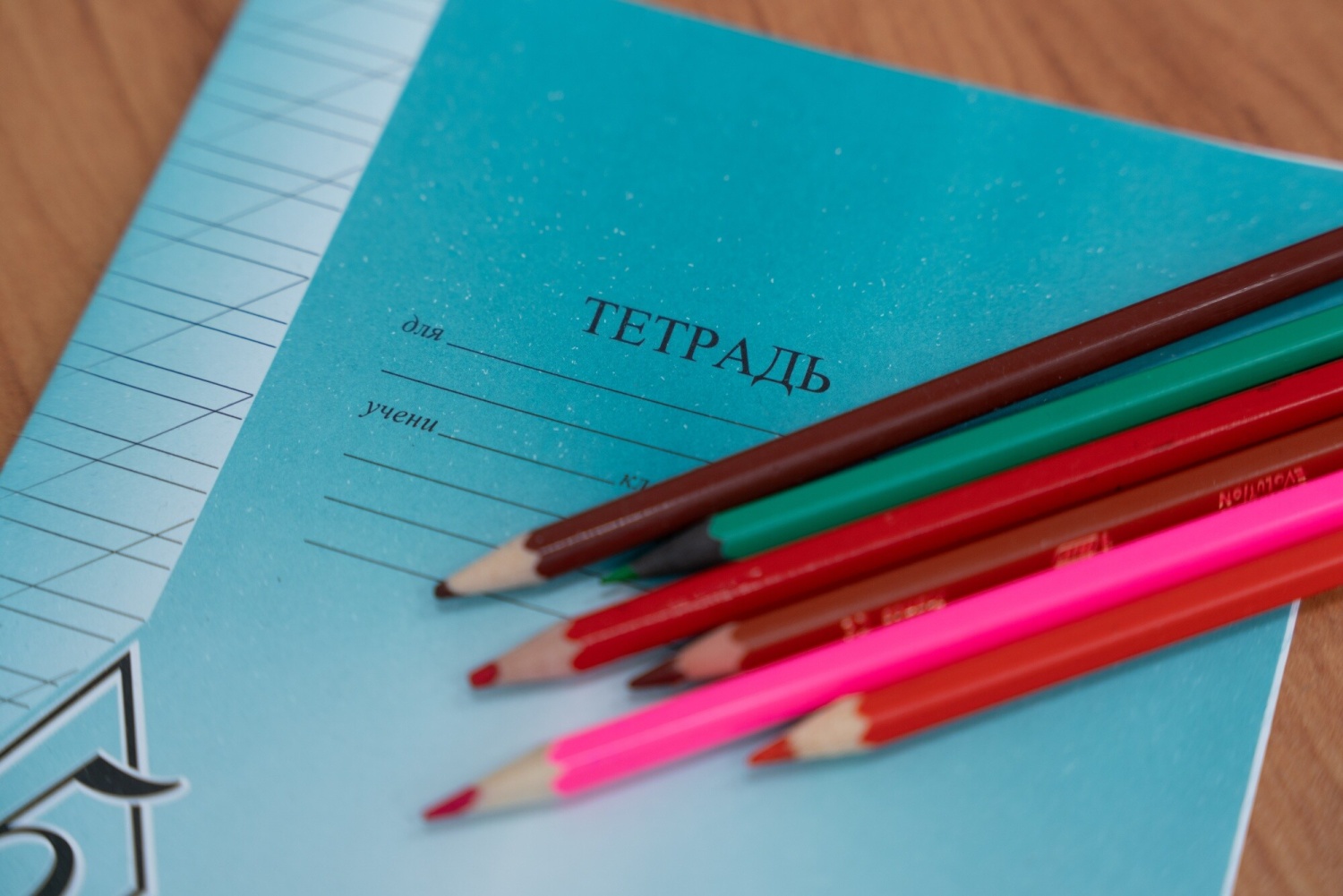 Для первоклассников Туркмении вышел курс русского языка, созданный при поддержке Минпросвещения России