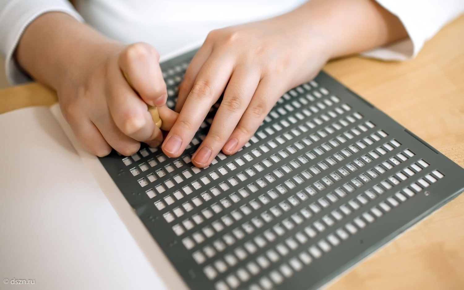 Школьников с ОВЗ приглашают на учебу во Всероссийский центр для слепых обучающихся, проявивших выдающиеся академические способности