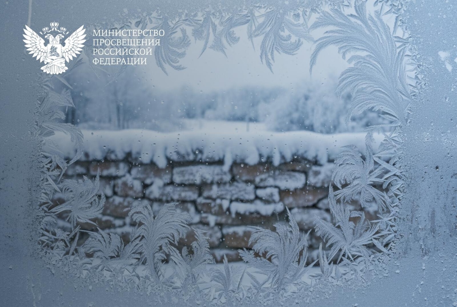 Сергей Кравцов: Важно обеспечить безопасность и сохранение здоровья учащихся в условиях сильных морозов