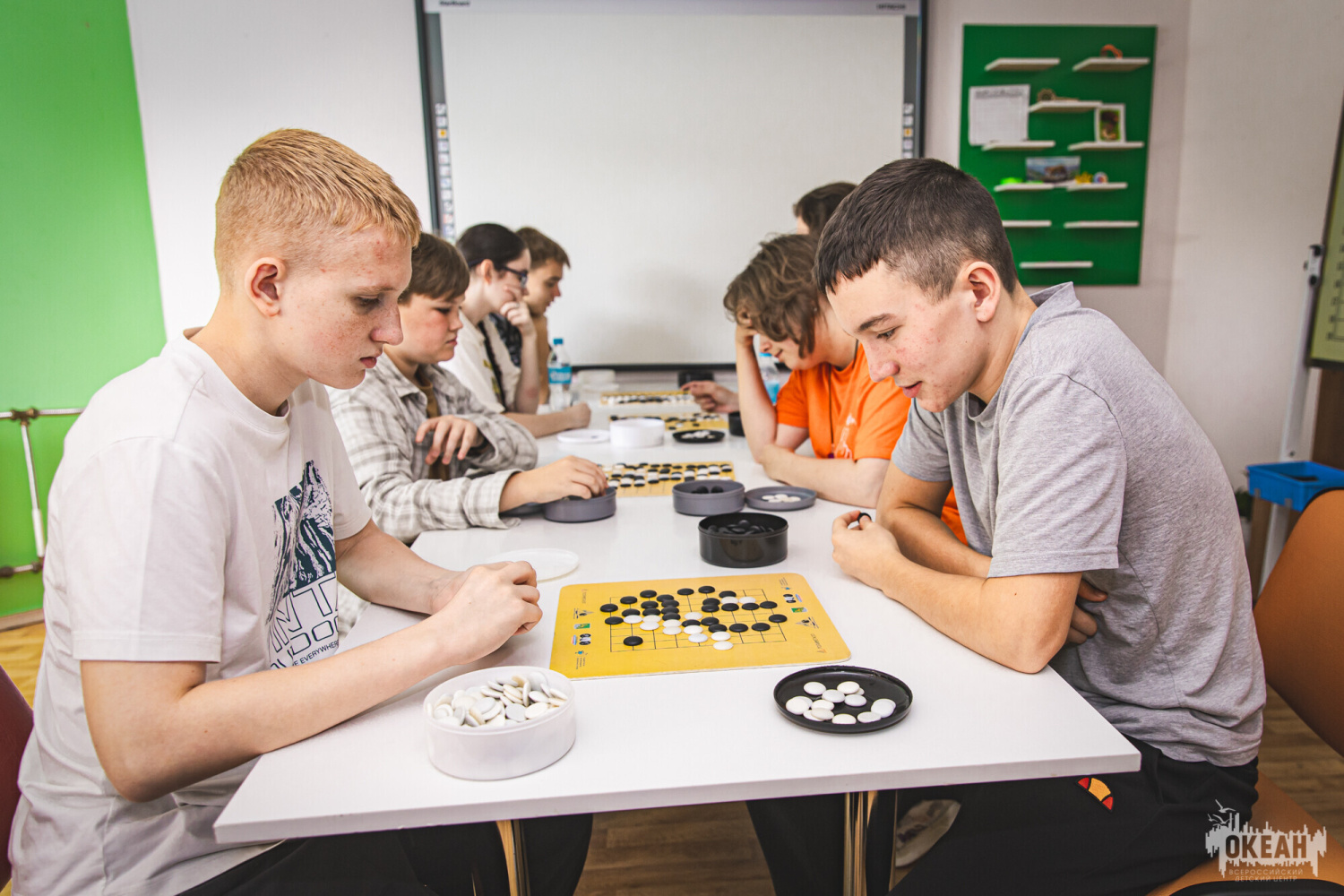 «Стратегическая игра Го» (физкультурно-спортивная направленность»