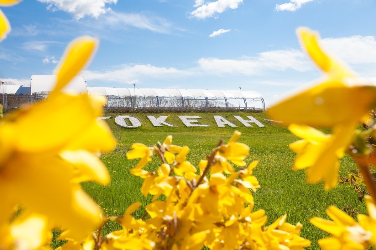 Океанцы, с первым днём весны!